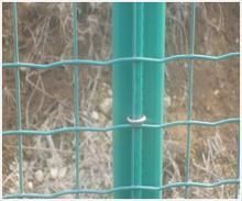 供應(yīng)養(yǎng)殖防護(hù)用鐵絲網(wǎng) 筑起家禽養(yǎng)殖的安全與高效屏障